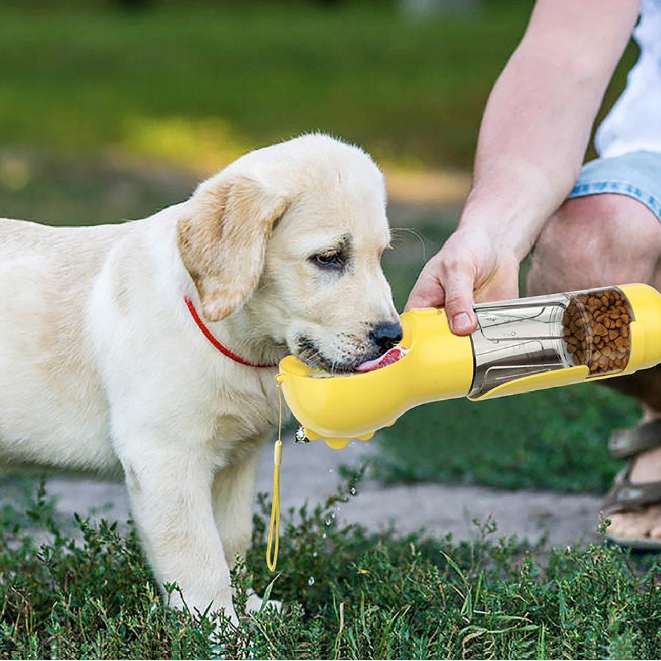 Bottiglia 4-in-1 per idratare e nutrire il tuo cane