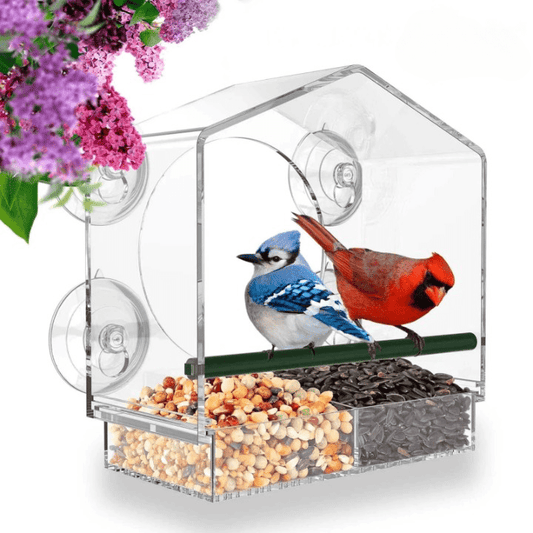 Hrănitoare pentru păsări cu fereastră premium